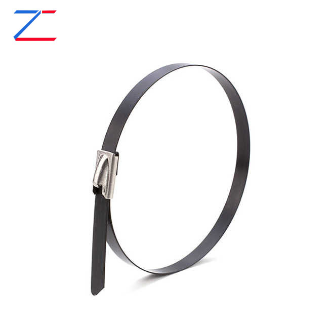 لماذا تختار روابط الكابلات المصنوعة من الفولاذ المقاوم للصدأ؟